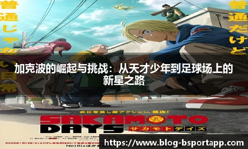 B体育官方网站